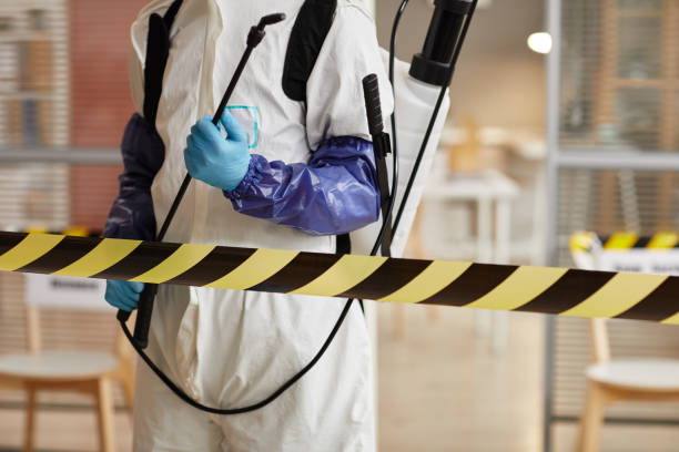 Professional Infectious Disease Decontamination technician working in Felton, CA